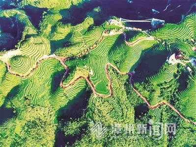 漳州市九龙江集团 致力打造“生态+”现代农业新模式