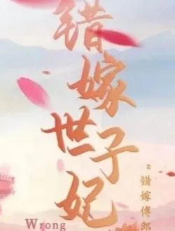 错嫁世子妃