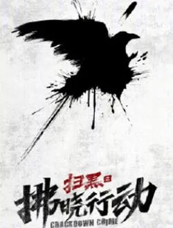 扫黑之拂晓行动