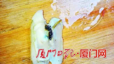 蛏子好吓人里长一条条长虫？那是它的器官（图）