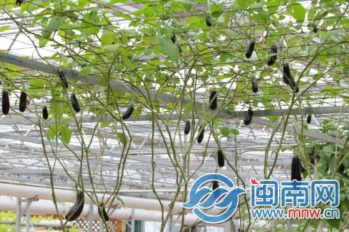 IMG_2374.webp