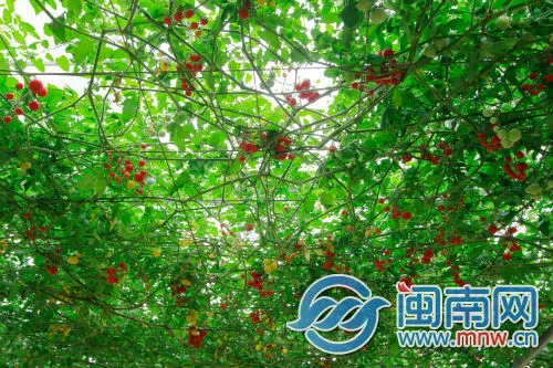 _MG_2819.webp