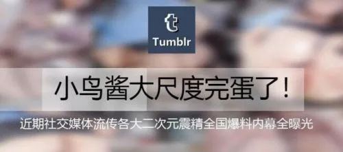 Tumblr小鸟酱是谁？微博小鸟酱写真内幕事件是什么介绍