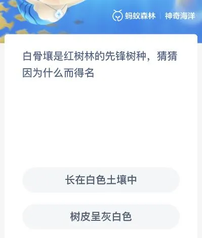 白骨壤是红树林的先锋树种因为什么而得名？神奇海洋11月22日答案