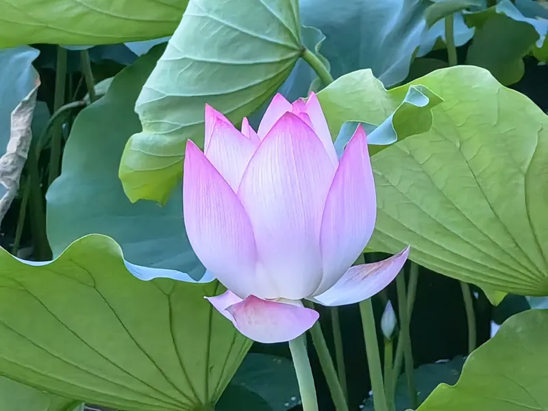 微信图片_20230707085932