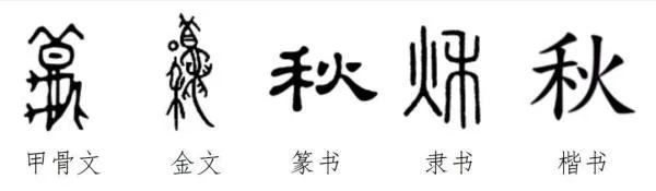 今日立秋：2023年8月8日今天几点几分 贴秋膘要吃什么