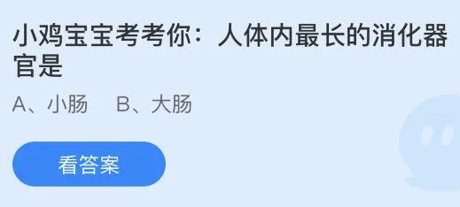 人体内最长的消化器官是什么？蚂蚁庄园小鸡课堂最新答案8月18日