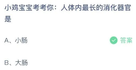 人体内最长的消化器官是什么？蚂蚁庄园小鸡课堂最新答案8月18日