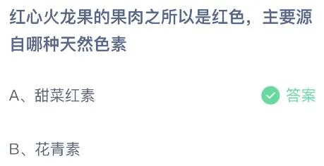 蚂蚁庄园今天正确答案：红心火龙果的果肉是红色主要源自哪种天然色素？甜菜红素还是花青素