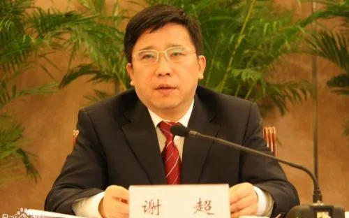 成都市温江区委书记谢超简历 个人资料及照片(图)