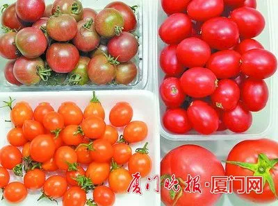 圣女果试吃报告 颜色不同价格差几倍紫色最贵黄色最便宜(图)