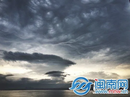 福州“圈圈云”确认是罕见糙面云 国内记录不到10次