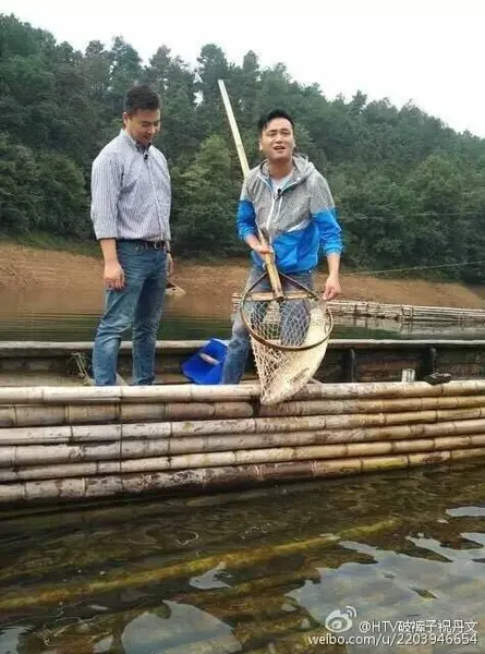 杭州电视台主持人凌晨车祸身亡，生前很有观众缘警方正做血检