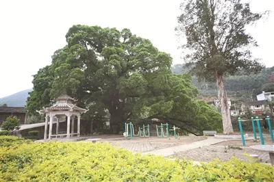 寻迹“福建井冈山”平和县长乐乡 旧貌换新颜再现革命圣地之光