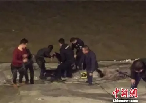 甘肃陇南民警樊龙资料照片 为救跳江轻生女孩溺亡