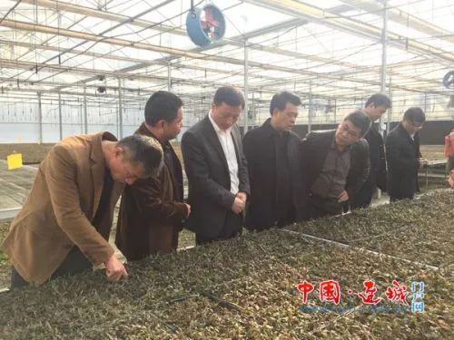 省农科院纪委书记陈世奎、副院长余文权一行到连城县调研