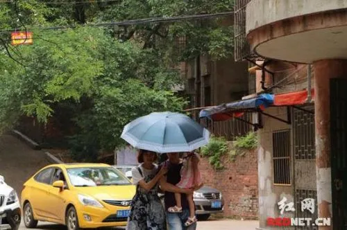 长沙一小区虫子泛滥成灾：三湘小区尺蠖爬满铁门窗户