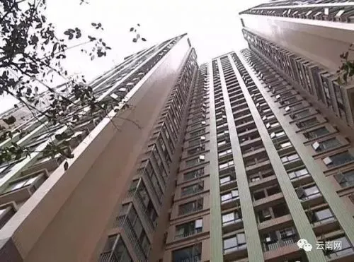 昆明天骄北麓小区接连发生生“高空抛狗” 警方已介入