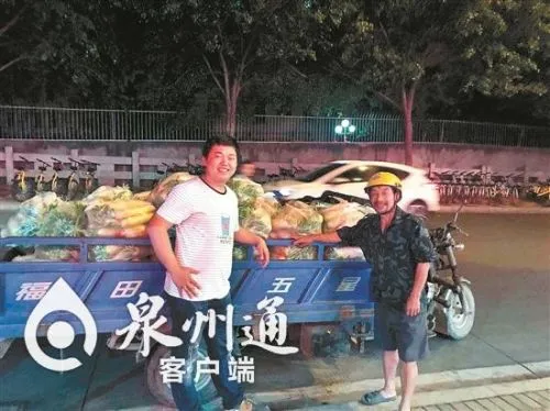 “石狮农户40万斤白萝卜滞销 ”追踪：市民一下子买5000斤