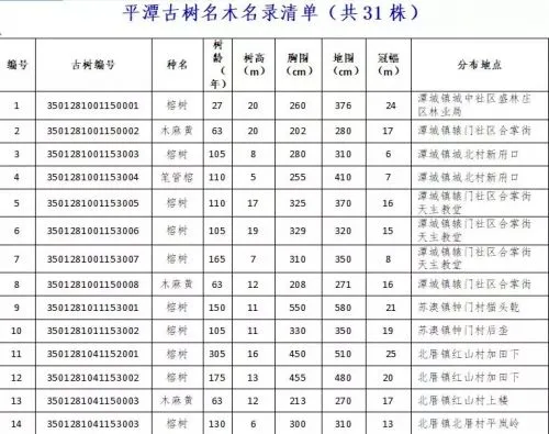 平潭全区共有31株古树名木 最老一株已有330岁