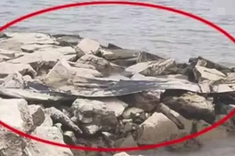 三峡水怪近照曝光
