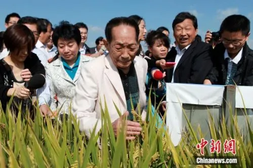 “杂交水稻之父”袁隆平逝世 袁隆平生平事迹主要成就