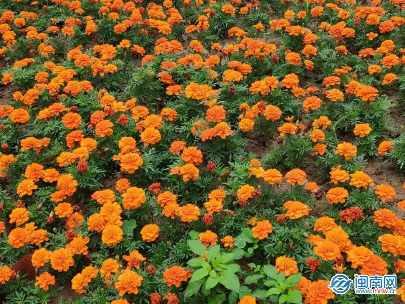 8月祝福语简短温馨的话  迎接八月的说说句子文案励志语