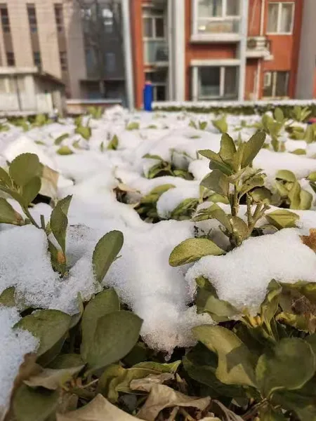小雪图片文案配图 2022小雪节气唯美朋友圈句子 问候别人的句子