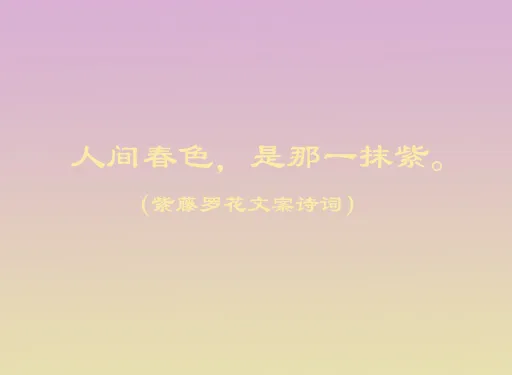 紫藤罗花文案诗词 观赏紫藤萝唯美句子、诗人笔下紫藤花