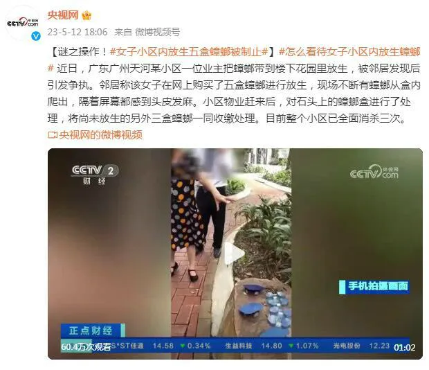 女子小区内放生五盒蟑螂被制止 整个小区已全面消杀三次