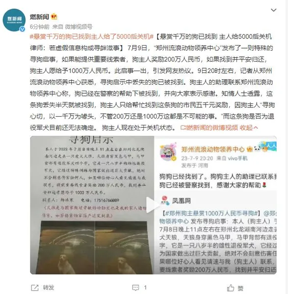 悬赏千万狗主人或涉传播虚假信息罪 一千万寻狗为噱头