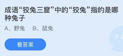 成语狡兔三窟中的狡兔指的是哪种兔子？蚂蚁庄园7.11今日答案最新