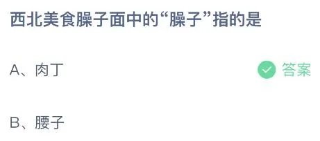 今天蚂蚁庄园正确答案：西北美食臊子面中的臊子是什么？肉丁还是腰子