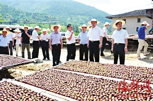 省委常委、福州市委书记杨岳（左四）在永泰县嵩口镇
