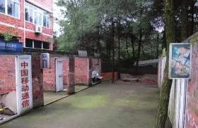 亲历者曝重庆打黑基地酷刑：打死了有王立军